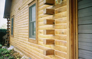 Log Home Restoration Wisconsin