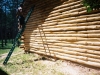 Log Cabin Repair WI