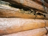 Log Home Repair In Wisconsin