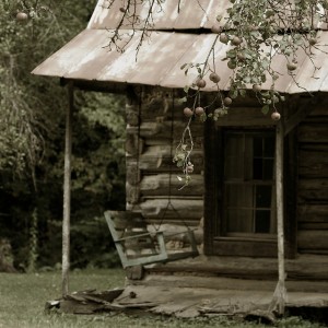 Wisconsin Log Cabin Restoration